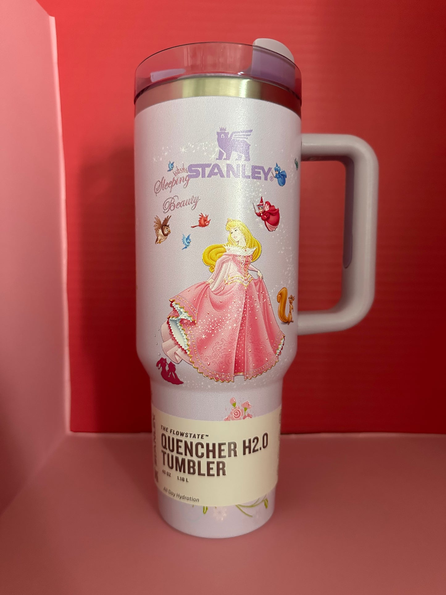 40oz Character Tumbler with Handle & Straw.